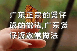 广东正宗的煲仔饭的做法（广东煲仔饭家常做法）