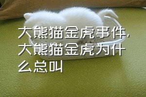 大熊猫金虎事件（大熊猫金虎为什么总叫）