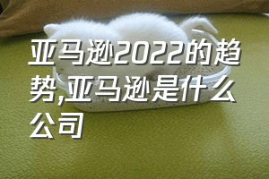 亚马逊2022的趋势（亚马逊是什么公司）