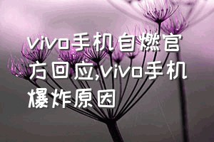 vivo手机自燃官方回应（vivo手机爆炸原因）