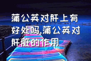 蒲公英对肝上有好处吗（蒲公英对肝脏的作用）