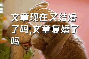 文章现在又结婚了吗（文章复婚了吗）