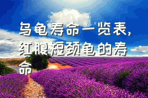 乌龟寿命一览表（红腹短颈龟的寿命）