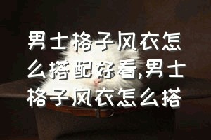 男士格子风衣怎么搭配好看（男士格子风衣怎么搭）