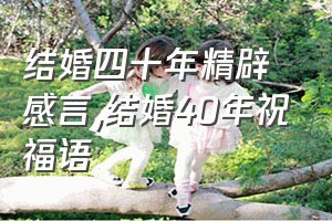 结婚四十年精辟感言（结婚40年祝福语）