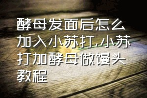 酵母发面后怎么加入小苏打（小苏打加酵母做馒头教程）