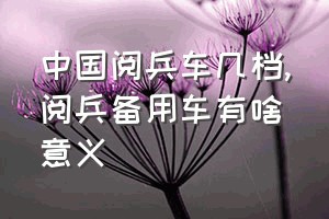 中国阅兵车几档（阅兵备用车有啥意义）