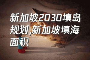 新加坡2030填岛规划（新加坡填海面积）