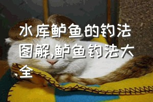 水库鲈鱼的钓法图解（鲈鱼钓法大全）