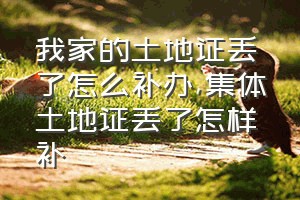 我家的土地证丢了怎么补办（集体土地证丢了怎样补）