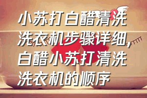 小苏打白醋清洗洗衣机步骤详细（白醋小苏打清洗洗衣机的顺序）