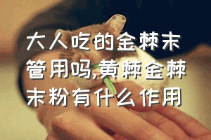 大人吃的金棘末管用吗（黄棘金棘末粉有什么作用）