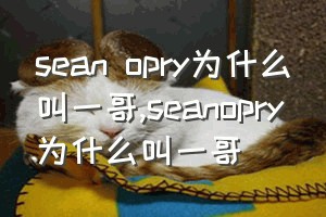 sean opry为什么叫一哥（seanopry为什么叫一哥）