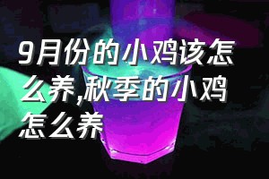 9月份的小鸡该怎么养（秋季的小鸡怎么养）