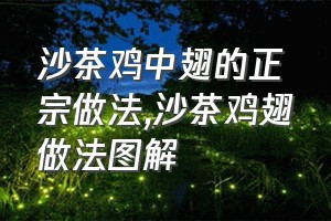 沙茶鸡中翅的正宗做法（沙茶鸡翅做法图解）