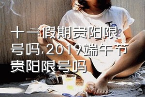 十一假期贵阳限号吗（2019端午节贵阳限号吗）