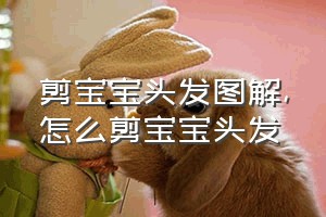 剪宝宝头发图解（怎么剪宝宝头发）