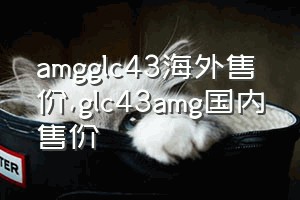 amgglc43海外售价（glc43amg国内售价）