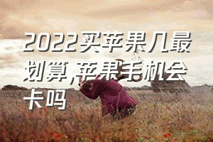 2022买苹果几最划算（苹果手机会卡吗）