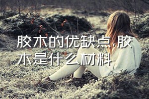 胶木的优缺点（胶木是什么材料）