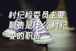 村纪检委员主要职责是什么（村纪委的职责）