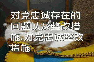 对党忠诚存在的问题以及整改措施（对党忠诚整改措施）