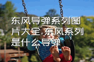 东风导弹系列图片大全（东风系列是什么导弹）