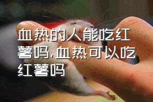 血热的人能吃红薯吗（血热可以吃红薯吗）