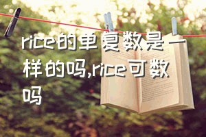 rice的单复数是一样的吗（rice可数吗）