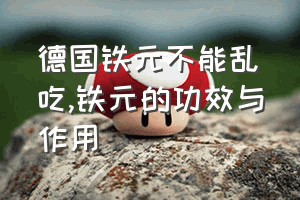 德国铁元不能乱吃（铁元的功效与作用）