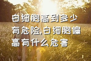 白细胞高到多少有危险（白细胞偏高有什么危害）