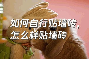 如何自行贴墙砖（怎么样贴墙砖）