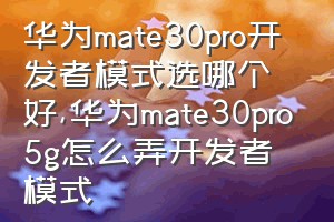 华为mate30pro开发者模式选哪个好（华为mate30pro5g怎么弄开发者模式）