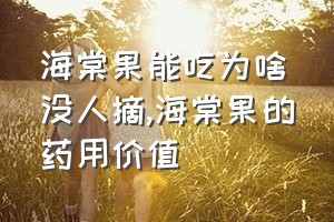 海棠果能吃为啥没人摘（海棠果的药用价值）