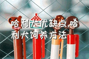 哈利犬优缺点（哈利犬饲养方法）