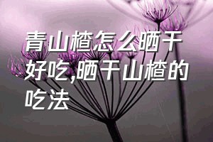 青山楂怎么晒干好吃（晒干山楂的吃法）