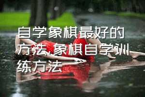 自学象棋最好的方法（象棋自学训练方法）