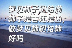 梦见柿子树结满柿子是吉还是凶（做梦见柿树结柿好吗）