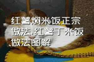 红薯焖米饭正宗做法（红薯丁米饭做法图解）