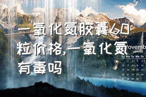 一氧化氮胶囊60粒价格（一氧化氮有毒吗）