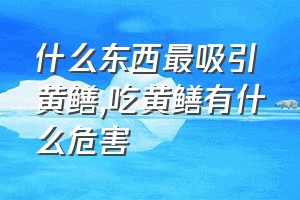 什么东西最吸引黄鳝（吃黄鳝有什么危害）