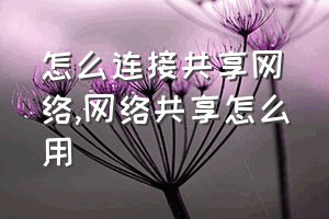 怎么连接共享网络（网络共享怎么用）