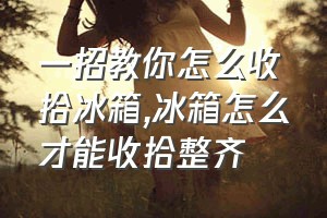 一招教你怎么收拾冰箱（冰箱怎么才能收拾整齐）