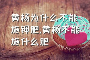 黄杨为什么不能施钾肥（黄杨不能施什么肥）