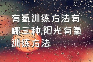 有氧训练方法有哪三种（阳光有氧训练方法）