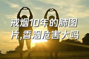 戒烟10年的肺图片（香烟危害大吗）