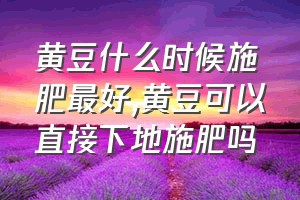 黄豆什么时候施肥最好（黄豆可以直接下地施肥吗）