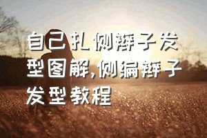 自己扎侧辫子发型图解（侧编辫子发型教程）