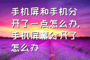 手机屏和手机分开了一点怎么办（手机屏幕分开了怎么办）