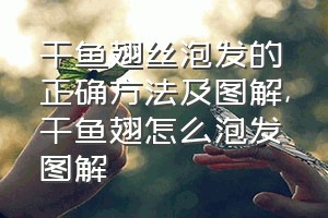 干鱼翅丝泡发的正确方法及图解（干鱼翅怎么泡发图解）